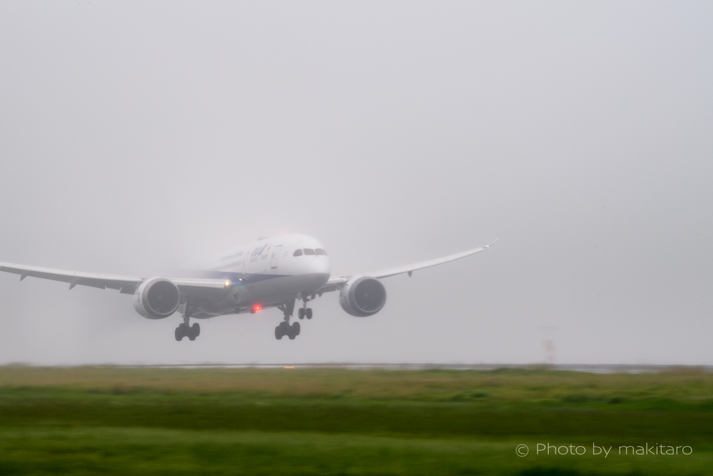 着陸「霧の中から」