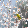 晴れた日の朝