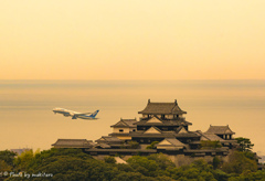 姫、飛行機が飛んだでござる！