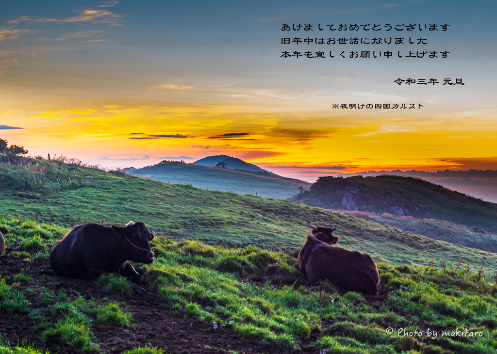 迎春 志国の夜明けぜよ By まきたろう Id 写真共有サイト Photohito 迎春 志国の夜明けぜよ By まきたろう Id 写真共有サイト Photohito