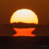 瀬戸の夕陽　「グリーン出ました！」
