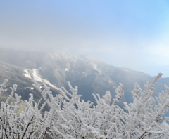 晴れた朝の日に 「四国山地の霧氷」
