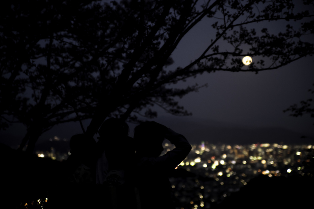 月光 春の夜