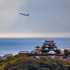 姫、飛行機が！