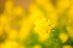 4DC7D014-7E8C-42D5-AED2-24E20BB1EDCB