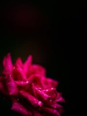 F02D63BB-A3DB-4C6E-AEAB-587082821748