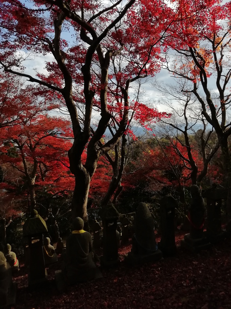 五百羅漢にて