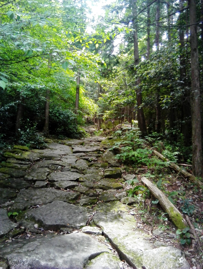 熊野古道