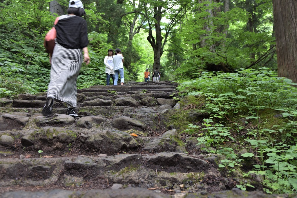 戸隠神社　石段