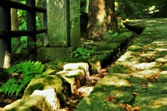 山寺、これから登ります