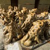 DSC00184