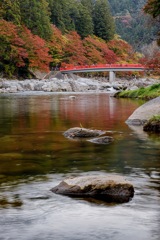 去年の香嵐渓