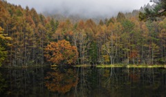 御射鹿池の紅葉①