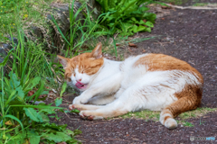DSC_5465