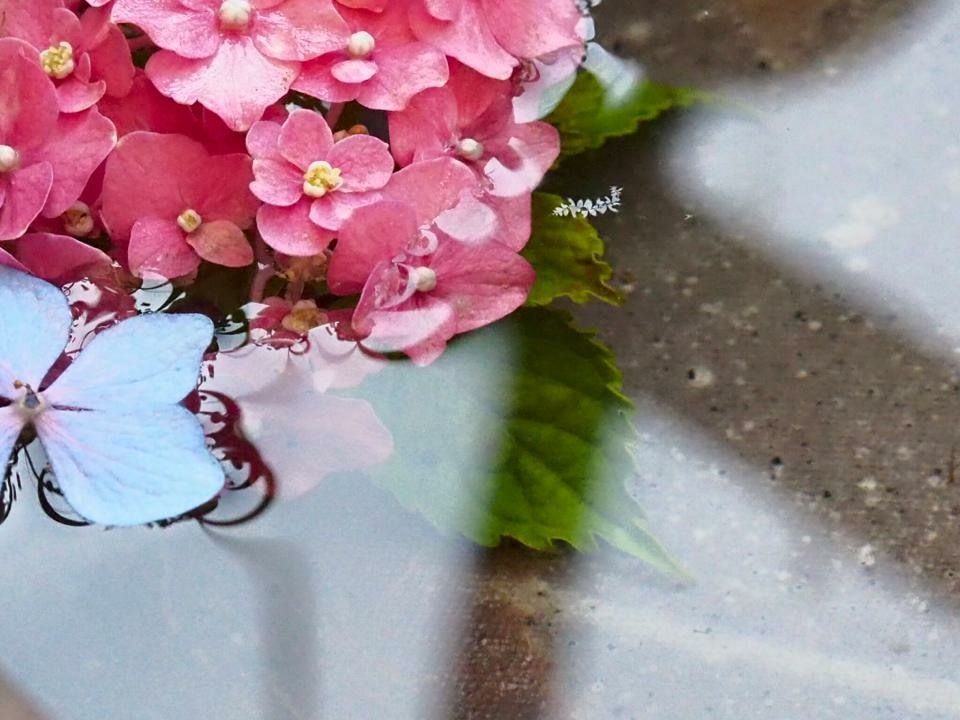 梅雨