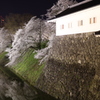お城と桜