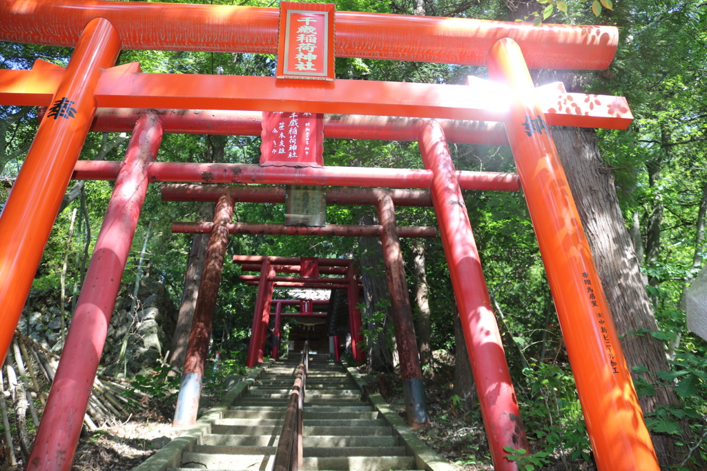 山への入り口