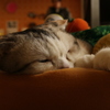 居眠り