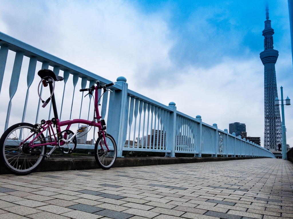 ブロンプトンとスカイツリー