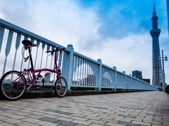 ブロンプトンとスカイツリー