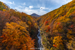 中津川渓谷の秋彩