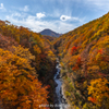 中津川渓谷の秋彩