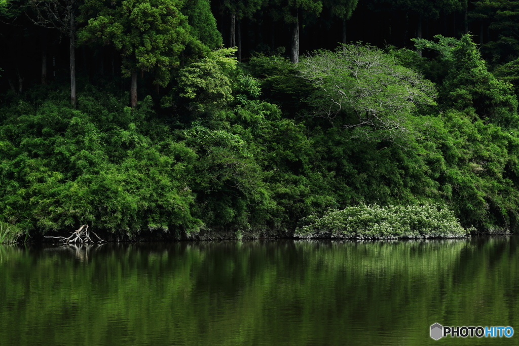 夏の湖畔