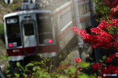 鬼怒川線の春