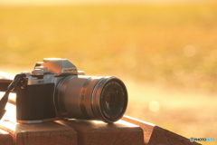 OM-D  EM-10 mk2 ①