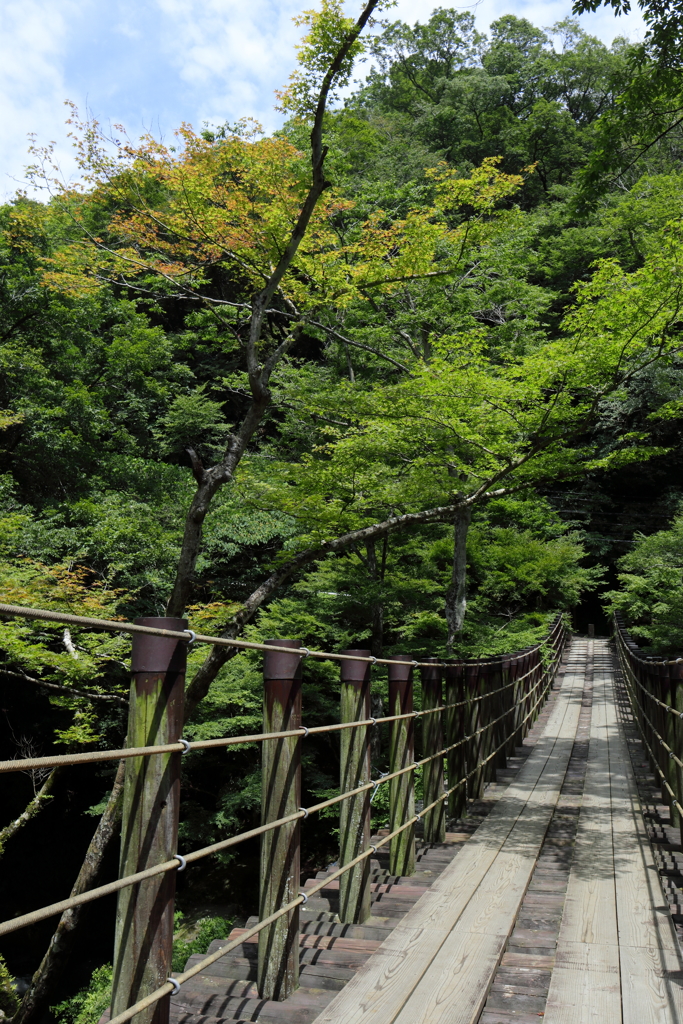 汐見滝吊り橋