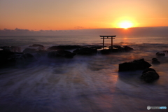 神磯の鳥居