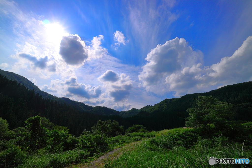 初夏の風景