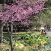 Spring Holiday