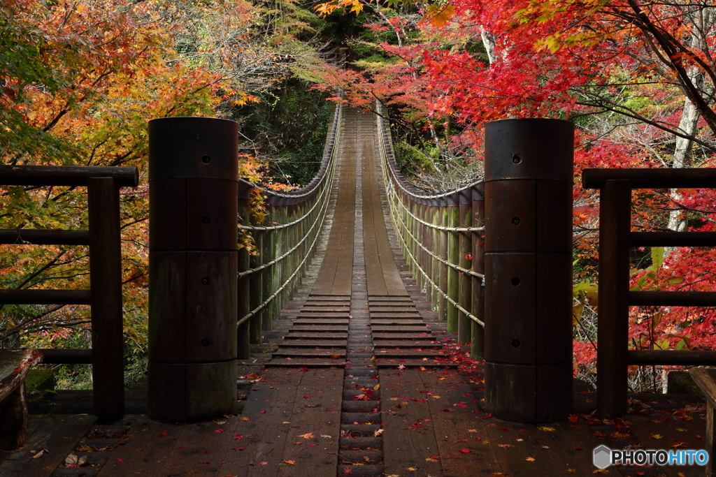  汐見滝吊り橋  ～秋～