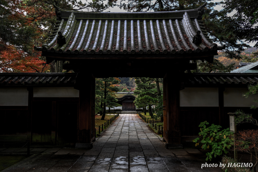 三渓園 御門