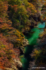 秋の桂川 ２