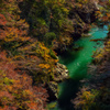 秋の桂川 ２