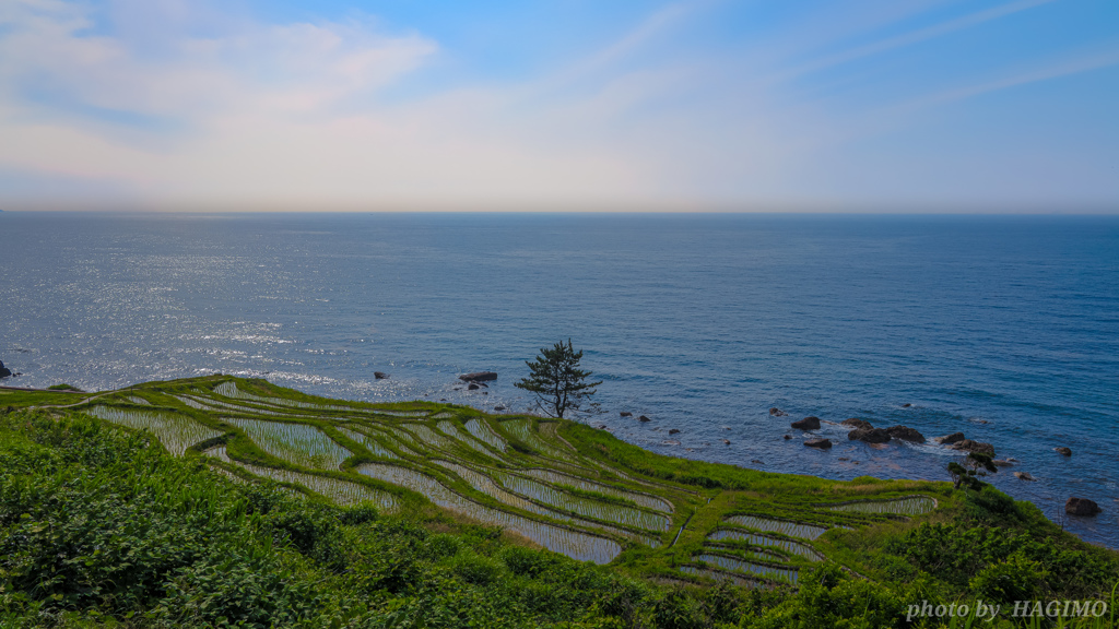 能登観光  ～白米千枚田～