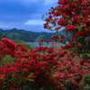 平和でありますように