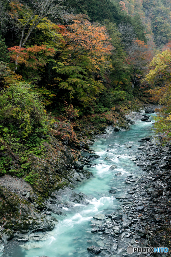 秋づく荒川