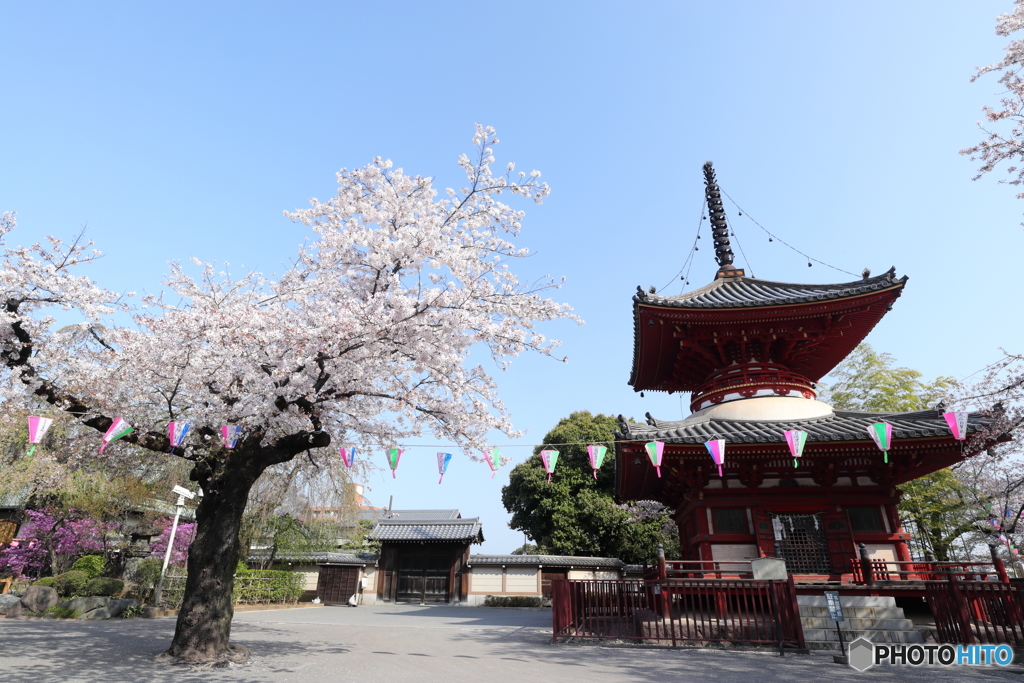 川越大師 喜多院