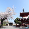川越大師 喜多院