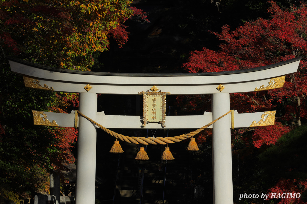 宝登山神社