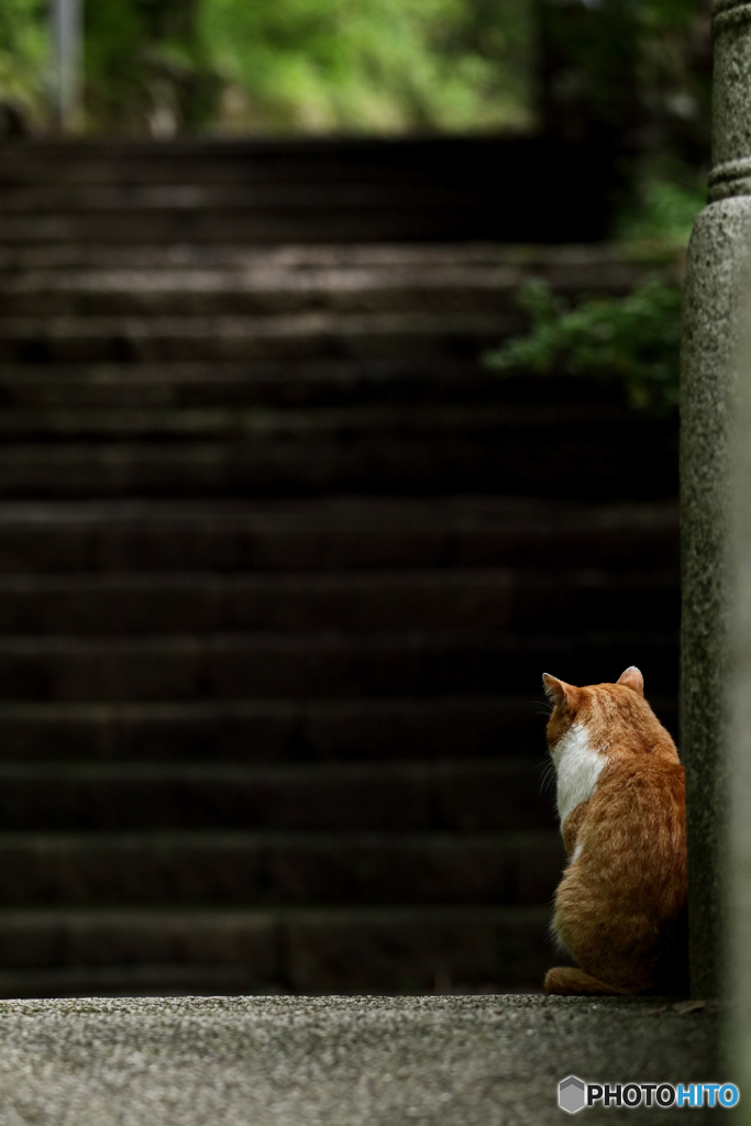 待ち人来ず…