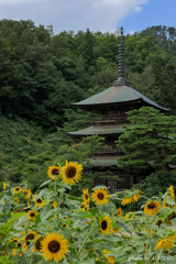 安久津八幡神社