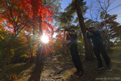 紅葉&野郎×３