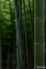 「竹」