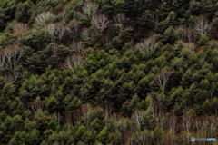 小浅間山から望む 3