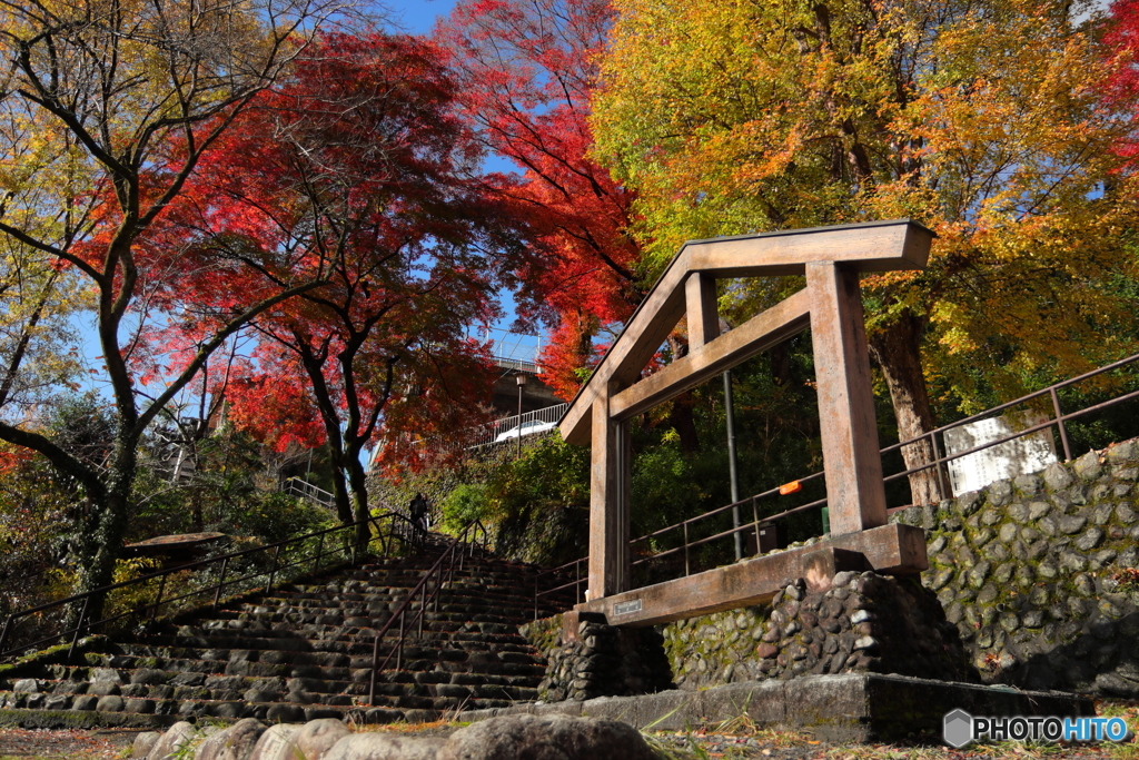 紅葉真っ盛り