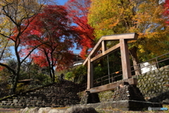 紅葉真っ盛り